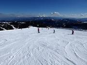 Piste facile au télésiège Lachtal