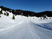 Piste familiale facile à Grasgehren