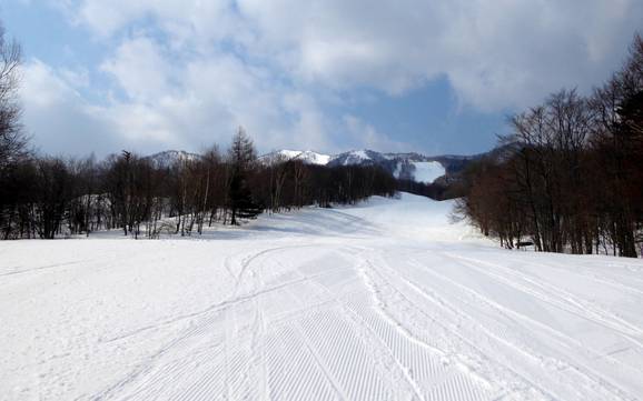 Diversité des pistes Prince Snow Resorts – Diversité des pistes Furano