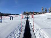 Tapis roulant 33 m ArBär-Kinderland