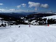 Piste facile Kircherlhang