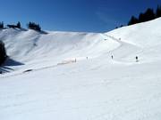 Vue sur la piste Horngratabfahrt