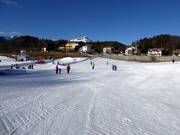 Neveland Bertoldi avec tapis roulants