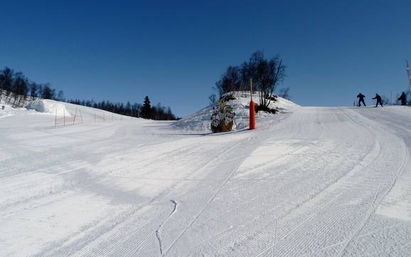 Stations de ski familiales Setesdal – Familles et enfants Hovden