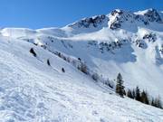 Domaine freeride au Zweitausender