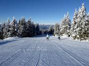 Descente Hirschboden