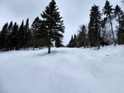 Piste difficile à bosses au Mont-Sainte-Anne