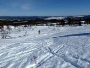 Espace ski libre / ski hors-piste