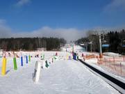 Zone d’entraînement Fox Park