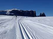 Pistes de ski de fond sur l'Alpe de Siusi avec le Schlern en arrière-plan