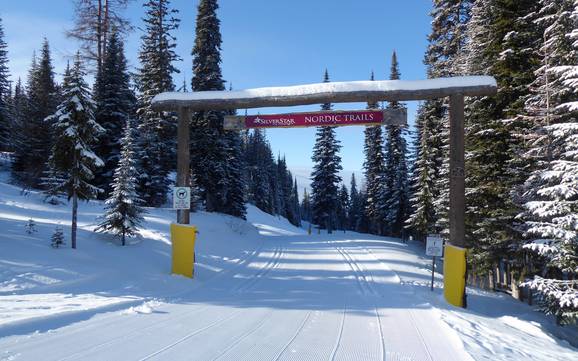 Ski nordique North Okanagan – Ski nordique SilverStar