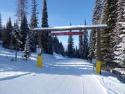 Pistes de ski de fond au SilverStar Mountain Resort