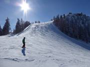Piste Waldfriedenhang sur la Hochwurzen