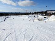 Piste pour débutants au Skicenter Syd
