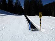 Tapis roulant et piste d’entraînement Seebli