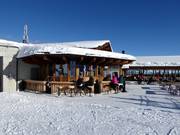 Bar conviviale au Schafberg Hüsli