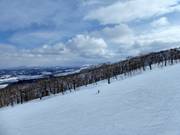 Large piste au East Mt.
