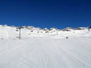 Piste n° 10 Aletsch