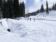 Tapis magique Solitude