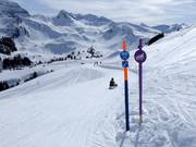 Très bonne signalisation des pistes