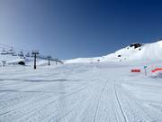 Piste très facile Borreguiles