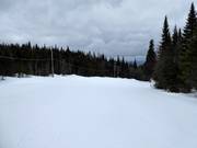 Piste facile et large La Laurentienne