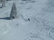 Neige poudreuse au Top Liner