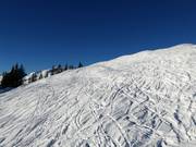 Itinéraire à ski Riedkopf