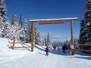 La route de la montagne mène au Vance Creek.