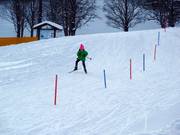 École de ski nordique pour enfants