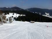 Descente Schwinbach FIS