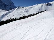 Les zones de protection de la faune sont fermées.