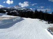 Piste familiale facile