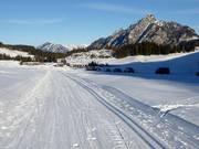 Piste de ski de fond Lienbachloipe sur la Postalm