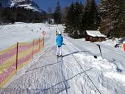 Skikinderland Loser Mega-Star - Télécorde/remonte-pente à câbles bas