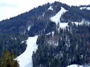 Vue sur la piste FIS Standard-Kohlerhang