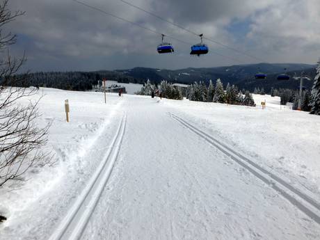Ski nordique Todtnau – Ski nordique Feldberg – Seebuck/Grafenmatt/Fahl