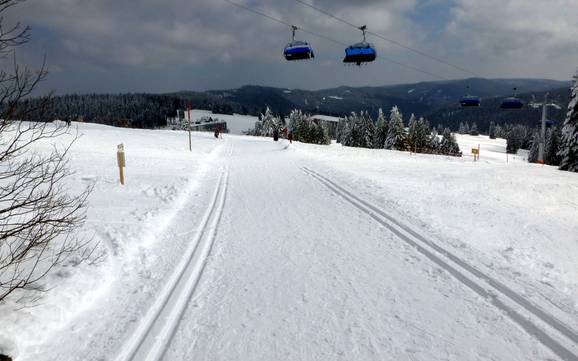 Ski nordique Breisgau-Hochschwarzwald – Ski nordique Feldberg – Seebuck/Grafenmatt/Fahl