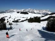 Pistes devant le Wilder Kaiser