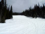 Piste Kalina's Rainbow