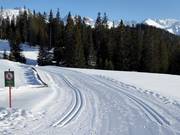 Piste de ski de fond à Serfaus