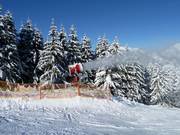 Enneigeurs sur le domaine skiable de Dachstein West