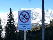 C’est aussi ta forêt