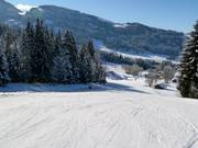 Descente vallée Ascher vers Altenmarkt