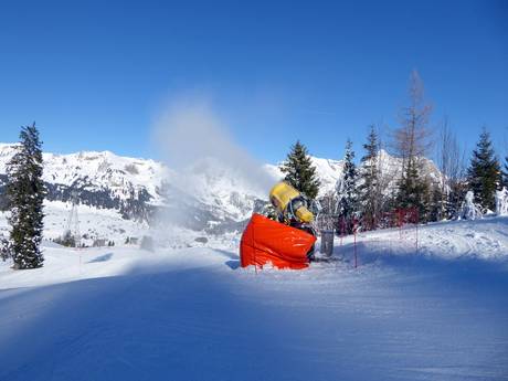 Fiabilité de l'enneigement Préalpes appenzelloises et saint-galloises – Fiabilité de l'enneigement Wildhaus – Gamserrugg (Toggenburg)
