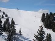 Bien large : piste Gueux au Mont Rond
