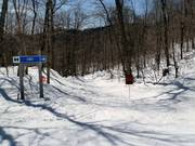 Descente difficile en forêt