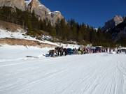 Traîneaux à chevaux à la fin de la piste Lagazuoi