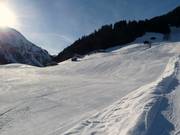 Piste facile au téléski Maisäß