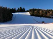 Très bonne préparation des pistes